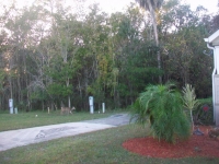 Dec 2012 Tropical Palms (64).JPG